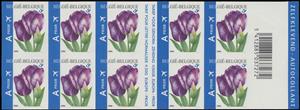 Booklet Pane, Tulip Rembrandt Selfadhesive, Belgium,  , Aircraft, Aviation, Flowers, Plants (Flora), Tulips