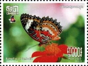 Butterflies of Cambodia