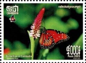 Butterflies of Cambodia