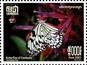 Butterflies of Cambodia