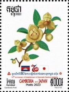 White Cheesewood (Melodorum fruticosum)