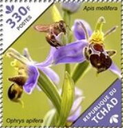 Stamp, Ophrys apifera, Chad,  , Flowers, Orchids, Plants (Flora)