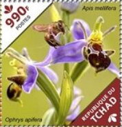 Stamp, Ophrys apifera, Chad,  , Flowers, Orchids, Plants (Flora)
