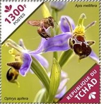 Stamp, Ophrys apifera, Chad,  , Flowers, Orchids, Plants (Flora)