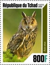 Stamp, Owls, Chad,  , Animals (Fauna), Birds, Birds of Prey, Owls