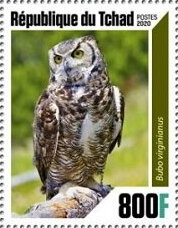 Stamp, Owls, Chad,  , Animals (Fauna), Birds, Birds of Prey, Owls