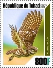 Stamp, Owls, Chad,  , Animals (Fauna), Birds, Birds of Prey, Owls