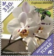 Stamp, Phalaenopsis schilleriana, Chad,  , Flowers, Orchids, Plants (Flora)