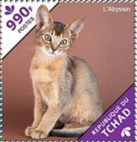 The Abyssinian/The Bengal