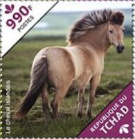 The Icelandic Horse