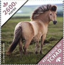 The Icelandic Horse