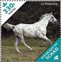 Stamp, The Knabstrupper, Chad,  , Animals (Fauna), Horses, Mammals