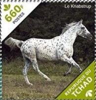 Stamp, The Knabstrupper, Chad,  , Animals (Fauna), Horses, Mammals