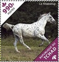 Stamp, The Knabstrupper, Chad,  , Animals (Fauna), Horses, Mammals