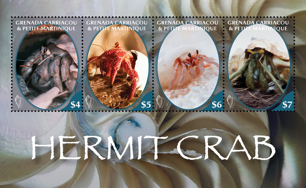 Hermit Crab