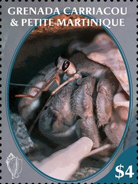 Hermit Crab