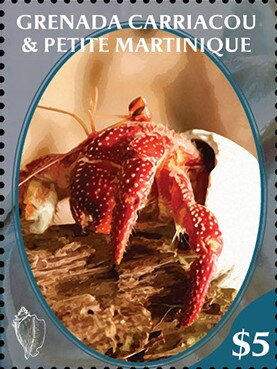 Hermit Crab