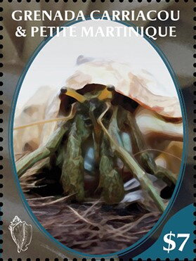 Hermit Crab