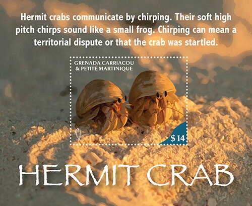 Hermit Crab