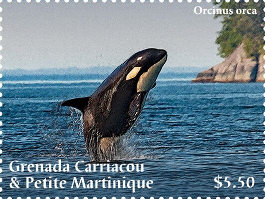 Orcas