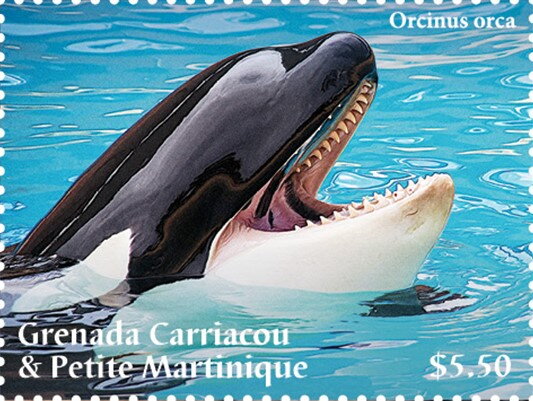 Orcas