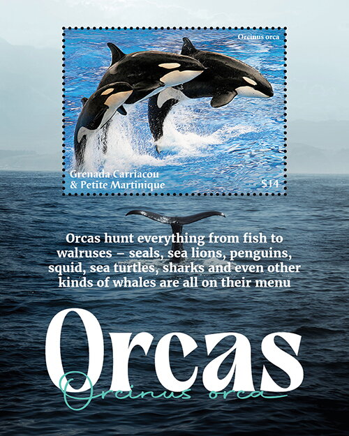 Orcas
