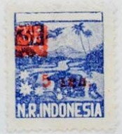 Overprint large flower motive
