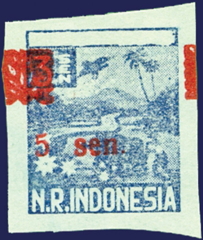 Overprint large flower motive