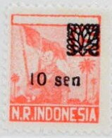 Overprint large flower motive