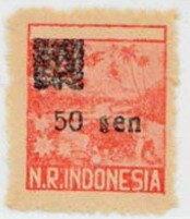 Overprint large flower motive