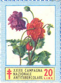 32 Anti-tuberculous Campaign