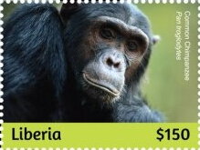 Stamp, Chimpanzees, Liberia,  , Animals (Fauna), Monkeys