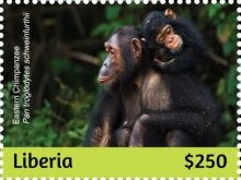Stamp, Chimpanzees, Liberia,  , Animals (Fauna), Monkeys
