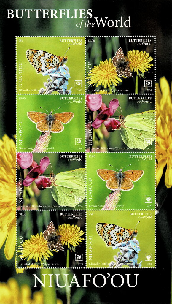 Butterflies of the World