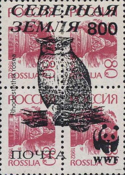 Owls