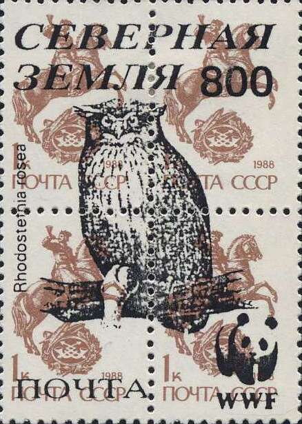 Owls