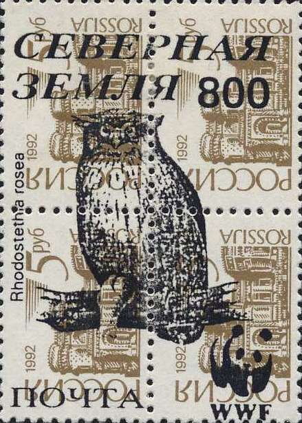 Owls