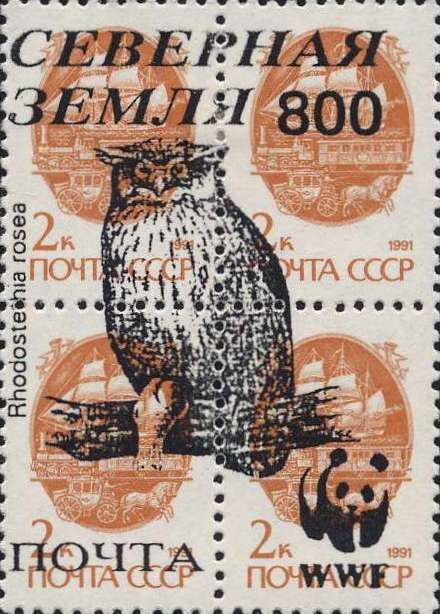 Owls