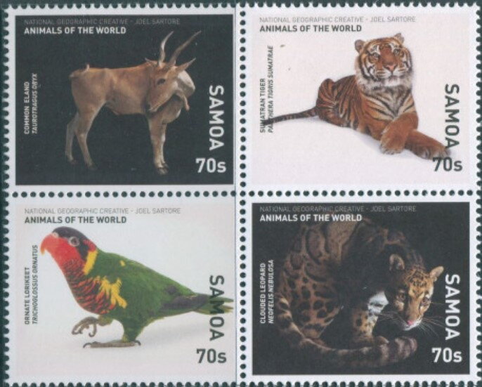 Animals of the World
