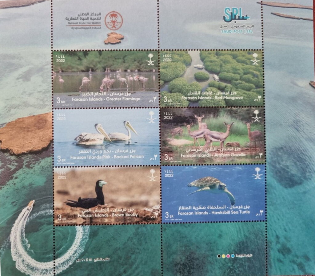 Flora and Fauna of the Farasan Islands
