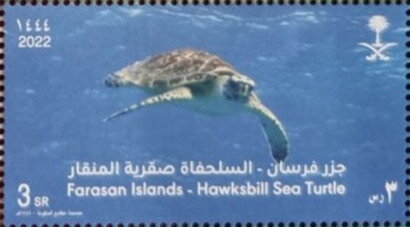 Hawksbill Sea Turtle (Eretmochelys imbricata)