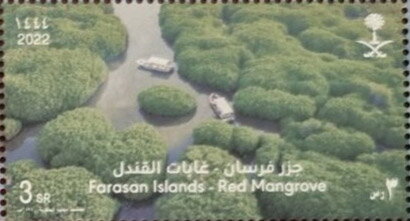Stamp, Red Mangrove (Rhizophora mucronata), Saudi Arabia,  , Forests