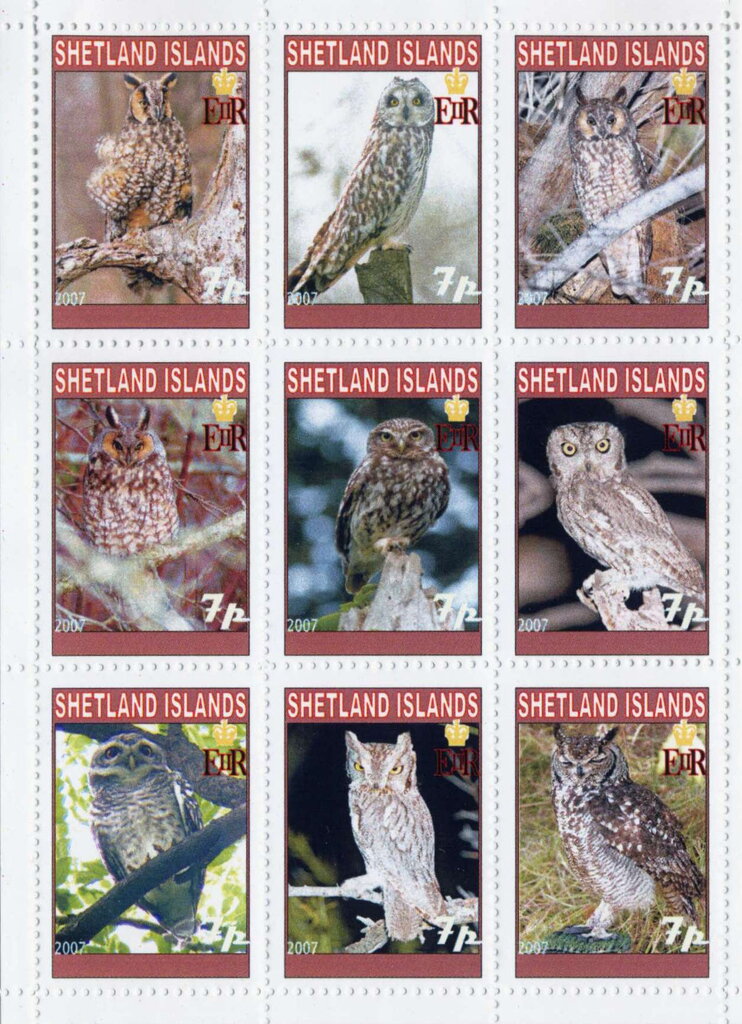 Owls
