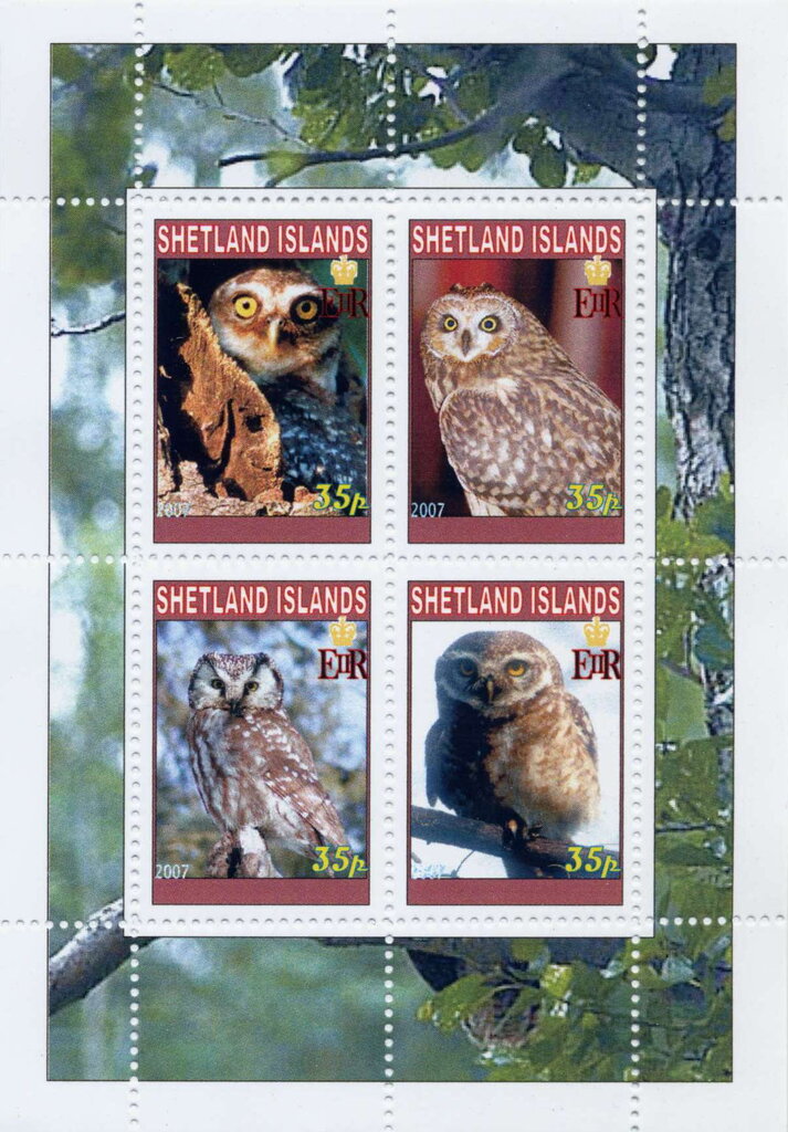 Owls