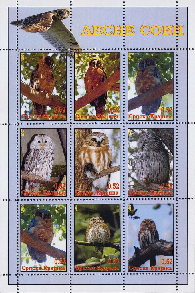 Owls