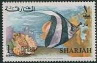 Longfin Bannerfish (Heniochus acuminatus)