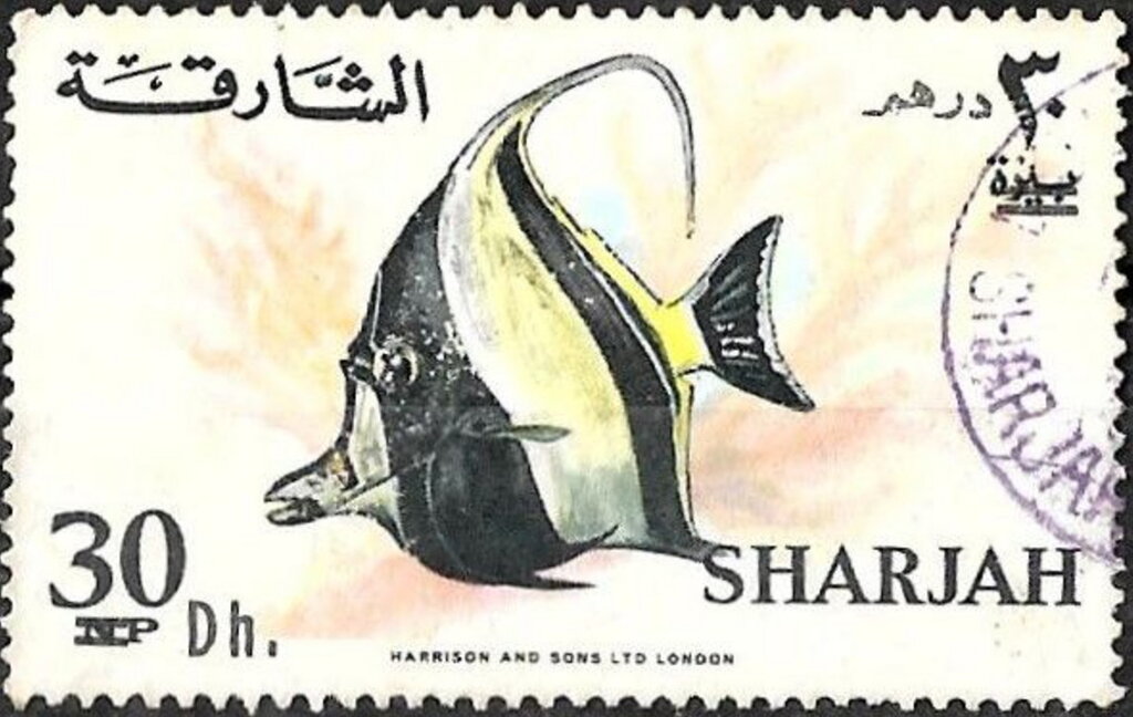 Moorish Idol (Zanclus cornutus)