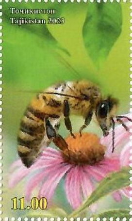 Flora and Bee
