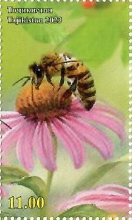 Stamp, Flora and Bee, Tajikistan,  , Bees, Flowers