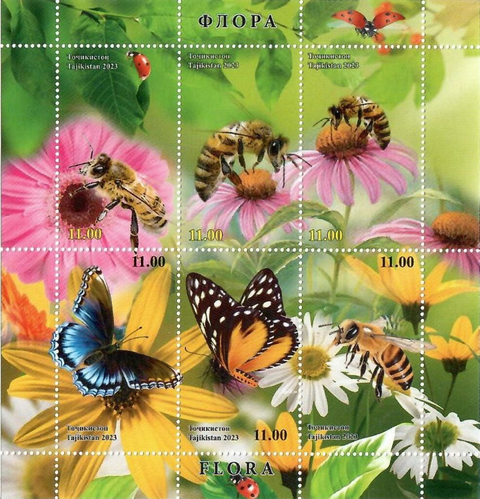 Flora and Pollinators